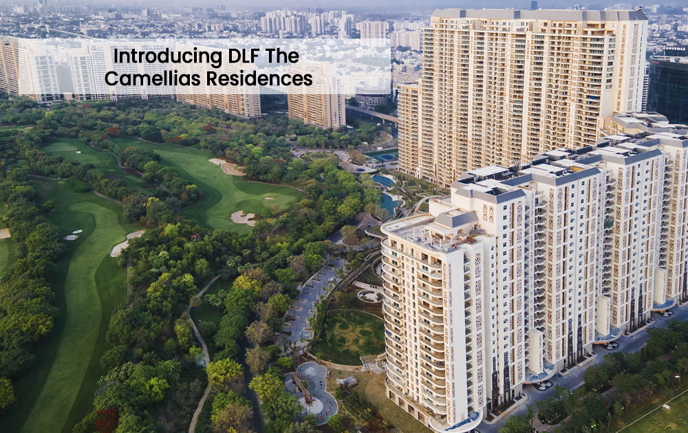 DLF Camellias Gurgaon