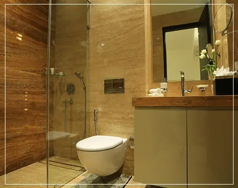 ambience creacions society