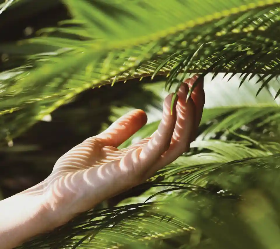 Binghatti Haven Video