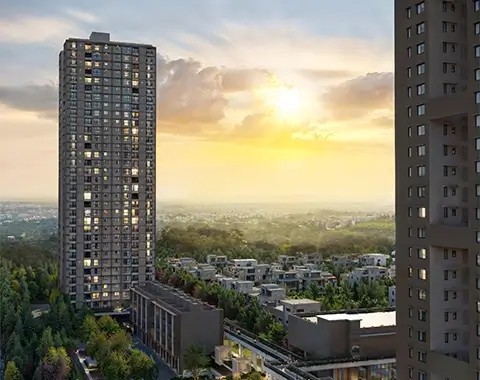 Birla Ojasvi Directory