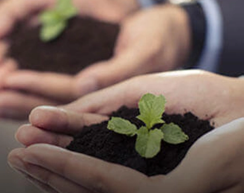 BPTP Verti Greens garden