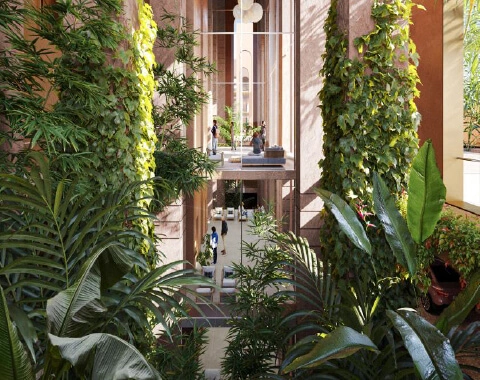 conscient elevate reserve Purchase