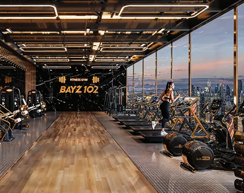 Buy Danube Bayz 102