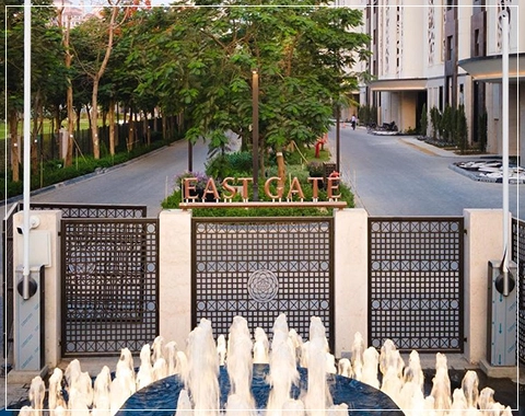 dlf camellias flat
