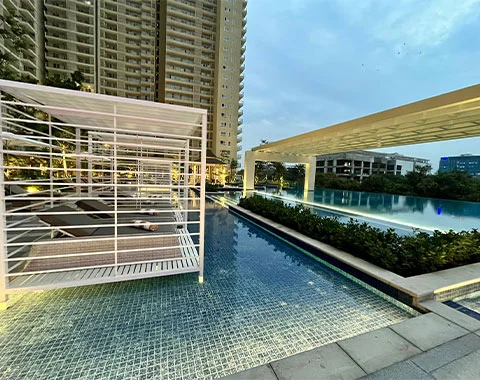 dlf midtown society