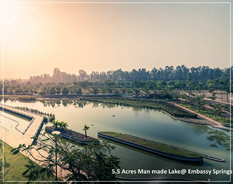 embassy springs plots resale