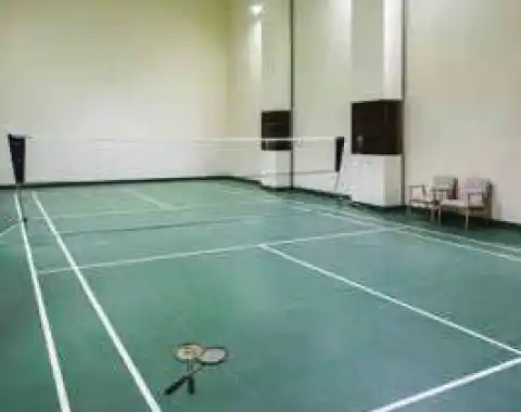 Experion One 42 badminton