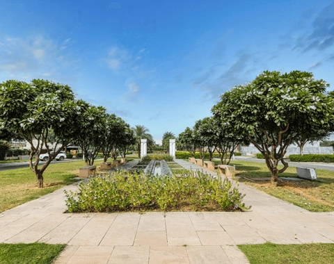 DLF Alameda society
