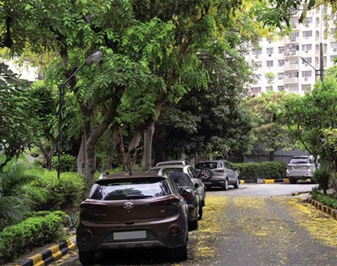 DLF Amaltas Drive society