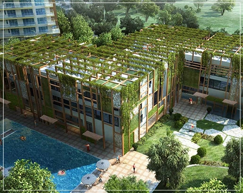 pioneer araya details