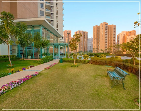 pioneer presidia interior