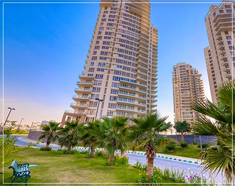 pioneer presidia to buy