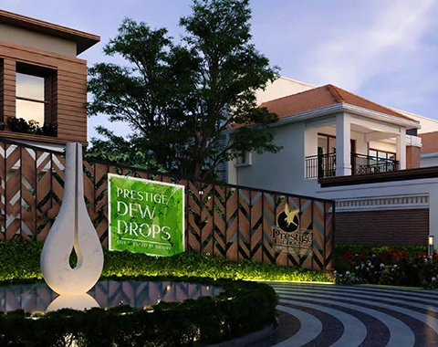 Prestige Dew Drops sale