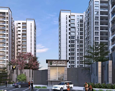 Prestige Pine Forest Possession Date