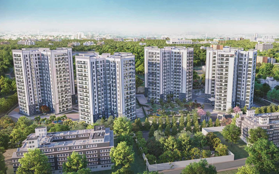 Prestige Pine Forest