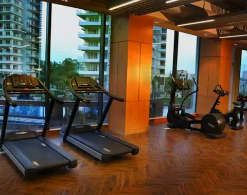 puri aravallis site plan