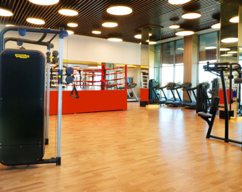 Puri Diplomatic Residences site plan