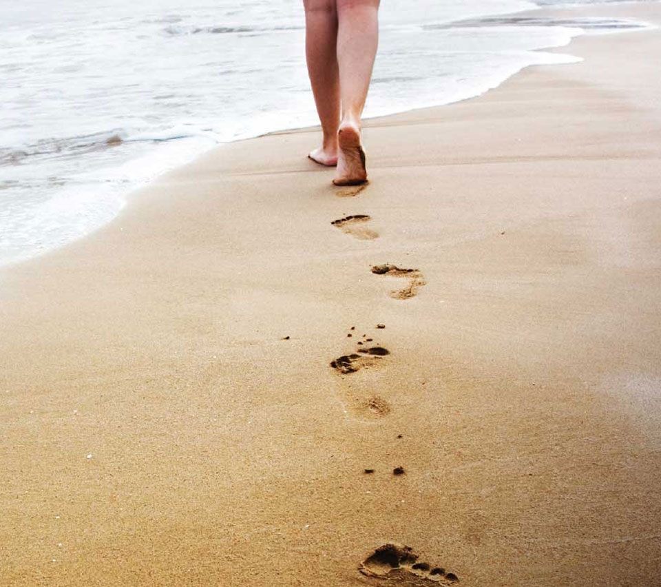 Rustomjee Ocean Vista construction update