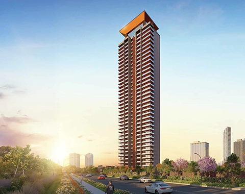 Signature Global Cloverdale Home