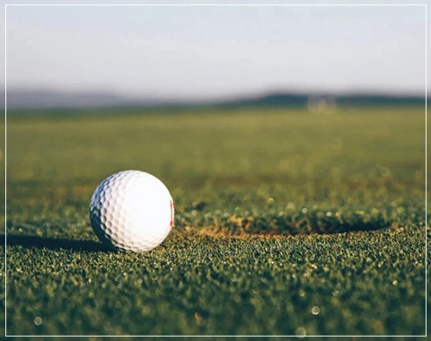 sobha windsor model flat