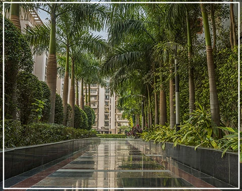 ss hibiscus site plan