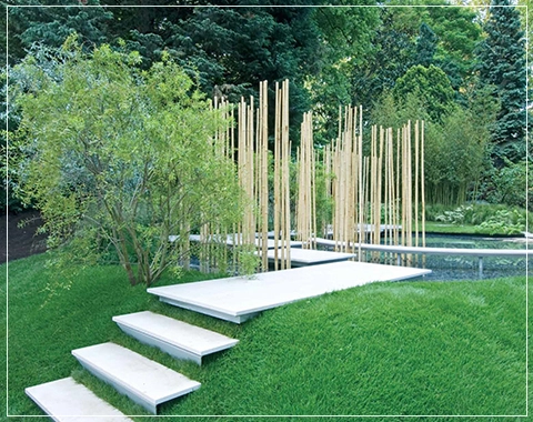 tata primanti uberlux