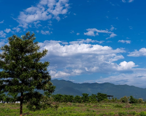 trident hills panchkula sale