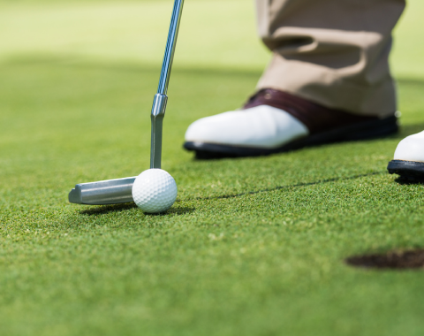 Tulip Crimson sample flat