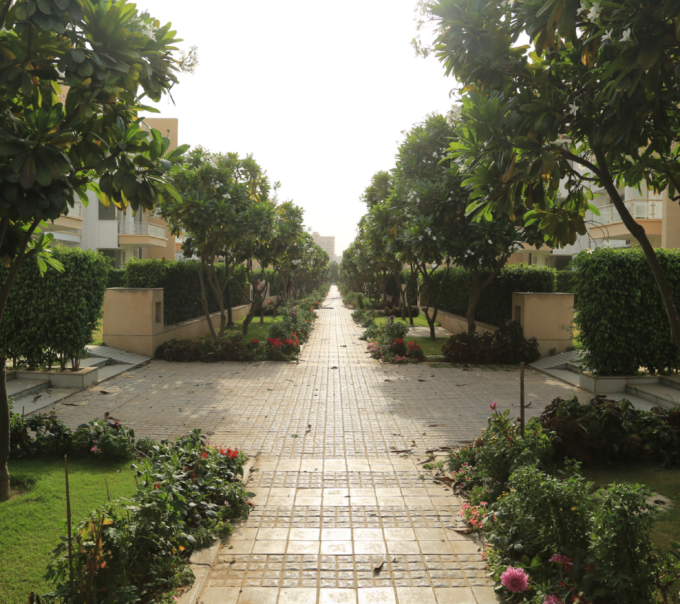 Tulip Crimson possession date