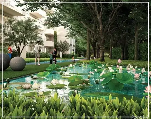 tulip monsella architect