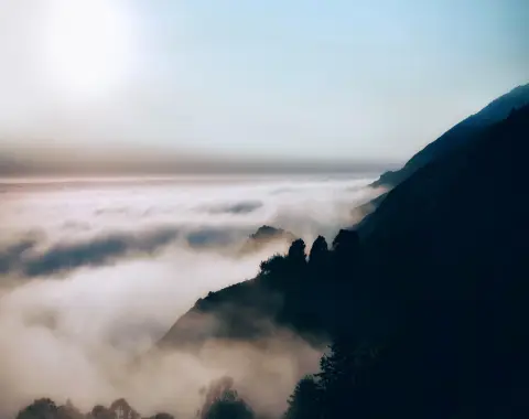 Vianaar Dappled Light Estate Images